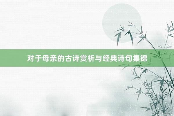 对于母亲的古诗赏析与经典诗句集锦