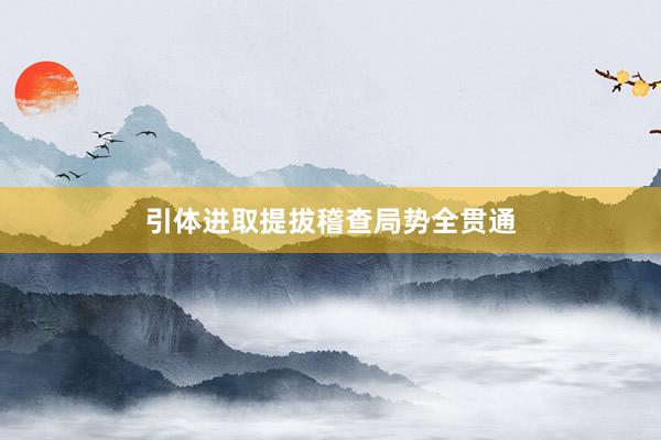 引体进取提拔稽查局势全贯通